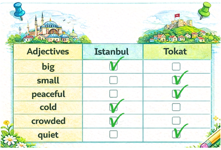 Istanbul Tokat Comparison Table